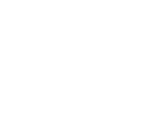 Avalon Integrations - DataLogic White Logo