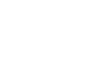 Avalon Integrations - Epson White Logo