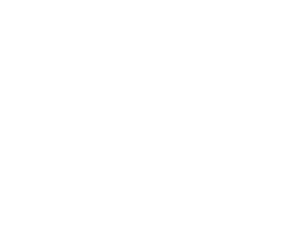 Avalon Integrations - Janam White Logo