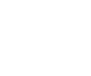 Avalon Integrations - Meraki White Logo