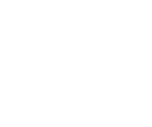 Avalon Integrations - Mobile Demand White Logo