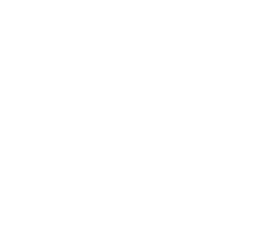 Avalon Integrations - Panasonic White Logo