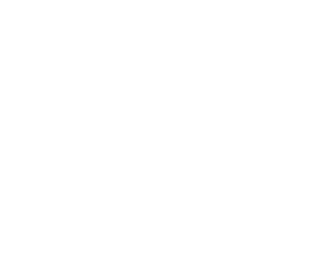 Avalon Integrations - Aruba White Logo