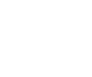 Avalon Integrations - Brother White Logo