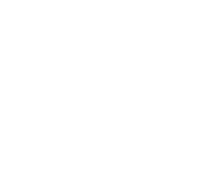 Avalon Integrations - Cisco White Logo