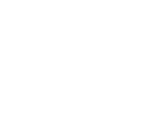 Newcastle Systems White Logo