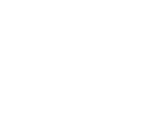 Avalon Integrations - Pioneer Pros Inc. White Logo