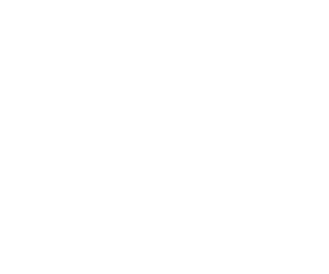 Avalon Integrations - Printronix White Logo