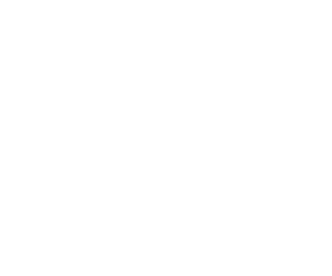 Avalon Integrations - SATO White Logo