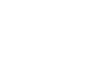 Zebra White Logo