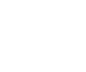 Portable Technologies Solutions White Logo
